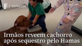 Soltos pelo Hamas irmãos sequestrados reencontram cachorro da família [upl. by Aidnyc297]