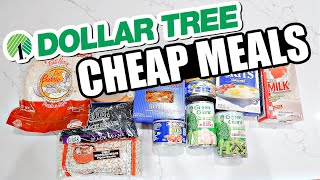 DOLLAR TREE GROCERY SHOP amp HAUL  Dollar Tree Budget Meal Plan  Extreme Grocery Haul [upl. by Ailasor818]