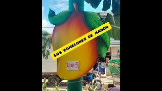 LOS COMELONES DE MANGO [upl. by Heriberto]