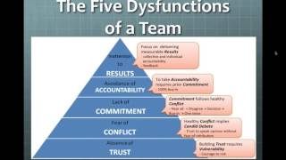 developing team cohesion [upl. by Hacker]