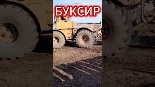 КИРОВЕЦ БУКСИР shorts ссср кировец trending funnyshorts funny помощь tractor top bigbrotv [upl. by Vanderhoek]