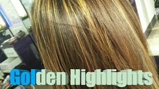 Golden Highlights  Blonde colour  LOreal Hair colouring indian hair [upl. by Ert496]