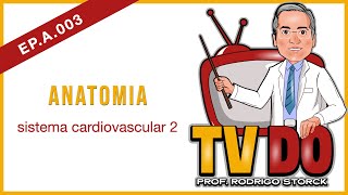 EP A 003  Anatomia sistema cardiovascular 2 [upl. by Dnartreb881]