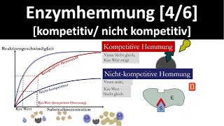 Enzymhemmung kompetitive Hemmung  nichtkompetitive Hemmung 46  Biologie Oberstufe [upl. by Gorrono]