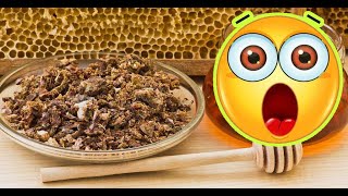 The Benefits and Uses of Propolis [upl. by Enhpad266]