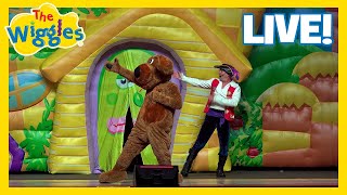 Wags the Dog He Likes to Tango 🐶 The Wiggles Live in Concert 💃 Fun Kids Dancing Songs [upl. by Waller]