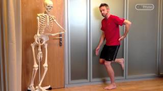 Hip stabilityLateral rotation exercise [upl. by Floro]