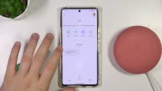 How to Enable  Disable Notifications on Google Nest Mini [upl. by Ecienaj]
