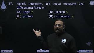 Apical intercalary and lateral meristems are differentiated based on [upl. by Doowrehs811]