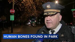 Bones found at Penn Treaty Park in Philadelphias Fishtown neighborhood [upl. by Federica]