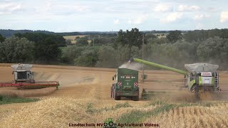 Claas  Case  Fendt  Hawe  Getreideernte  Grain Harvest 2022 The Wohle Story [upl. by Zorina]