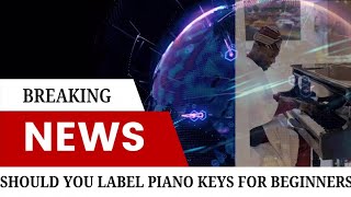 WHY YOU SHOULDNOT LABEL THE KEYS ON YOUR PIANOKEYBOARD [upl. by Heisel]