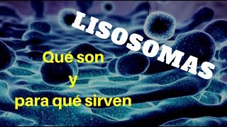 LISOSOMAS Qué son y para qué sirven [upl. by Anselmo]