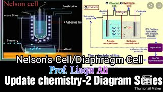 The Nelson Cell  Diaphragm Cell Update Chemistry2 Diagram Series Prof Liaqat Ali [upl. by Ronald89]