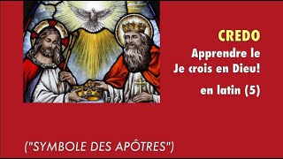 🌺 APPRENDRE LE quotSYMBOLE DES APÔTRESquot OU quotJE CROIS EN DIEUquot EN LATIN— LE CREDO [upl. by Niai752]