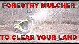 HOW MUCH DOES IT COST TO HIRE A FORESTRY MULCHER FOR CLEARING LANDWITH GREAT FOOTAGE [upl. by Ditzel350]