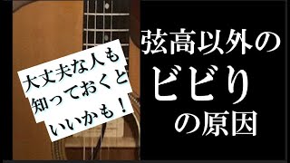 音がビビるギター、弦高が低すぎる以外の原因 ビビりノイズの対処方法 ギター初心者 ギター [upl. by Leola736]