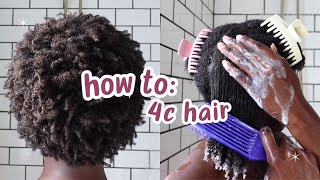 Curly Hair 101 Beginners Guide to 4C Hair [upl. by Leroi]