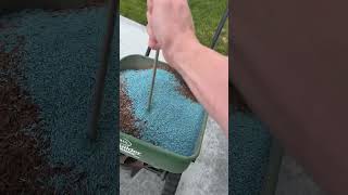 Reseeding my lawn after sand leveling pt 6 lawn diy [upl. by Cerveny554]