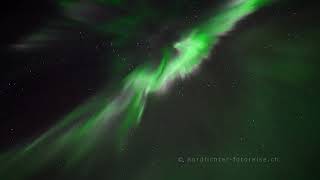 Realtime Polarlicht  Echtzeit Nordlichter Corona und Vorhang  Nordlichter Fotoreise 2022 Senja [upl. by Ardien]