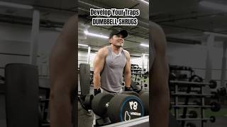 The Ultimate Traps Workout Build Massive Traps amp Improve Posture [upl. by Scrivens710]