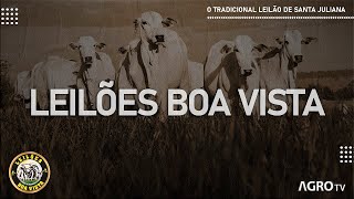 LEILÕES BOA VISTA AO VIVO  SANTA JULIANA  MG [upl. by Abrahamsen]