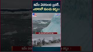 iSmart News  ఇదేం వెదరుంది బ్రదర్ఎడారిలో మంచు వర్షం  TV9 [upl. by Nolyarg]