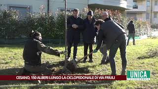 Cesano Maderno piantati 150 alberi lungo il nuovo percorso ciclopedonale [upl. by Cressy741]