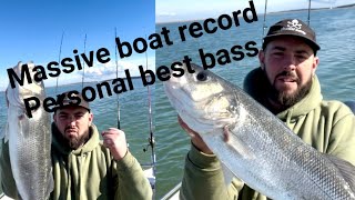 MASSIVE boat record bass  boat fishing uk 🇬🇧 winter plaice fishing fishing fish boatfishinguk [upl. by Hubbard]