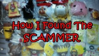 How I Found the Scammer [upl. by Nnyleuqaj175]