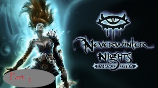 Neverwinter Nights 5 Player Coop [upl. by Lallage769]