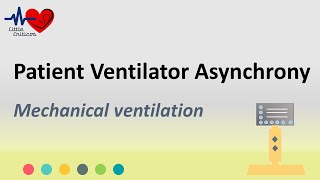 Patient Ventilator Asynchrony  Mechanical Ventilation  Little Criticos [upl. by Rehpotsirhcnhoj]