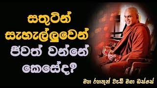 සතුටින් සැහැල්ලුවෙන් ජීවත් වන්නේ කෙසේද Maha Rahathun Wedi Maga Osse [upl. by Cirdec694]