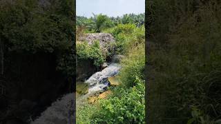 Beautiful Waterfall view in Jangareddygudem route [upl. by Old]