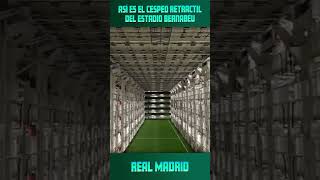 Así es el césped retráctil del estadio del Real Madrid l futbol historia shorts realmadrid [upl. by Lesya]