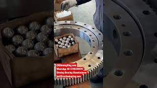 Slewing Bearing Ring Gears [upl. by Adlesirk64]