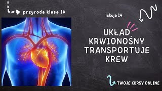 Przyroda klasa 4 Lekcja 14  Układ krwionośny transportuje krew [upl. by Randal713]