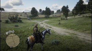 Red Dead Redemption 2 Melhor lugar para caçar suçuarana [upl. by Matthias70]