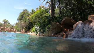 Discovery Cove 2024  Orlando  Florida [upl. by Irah821]