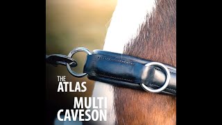 HrÃ­mnir Atlas Multi Caveson [upl. by Priest]