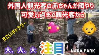 外国人観光客の赤ちゃんが餌やり👶可愛い過ぎて観光客から大、大、大注目🦌奈良公園 [upl. by Ellita]