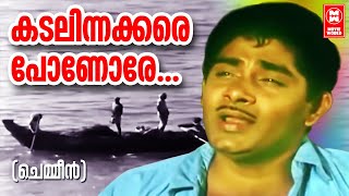 Kadalinakkare Ponore  Chemeen  Vayalar  Salil Chowdary  K J Yeshudas  Evergreen Film Songs [upl. by Llerruj]