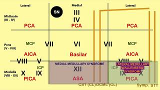 Brain Stem Lesion Mnemonic  CRASH Medical Review Series [upl. by Menzies]