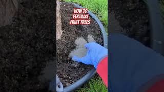 Discover the Best Fertilizer for Fruit Trees gardeningtips [upl. by Knapp]