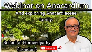 Dr Farokh Masters webinar on Anacardium and exploring anacardiaceae family  MM through experience [upl. by Nylavad]