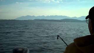 A Able Fishing Charters and Tours  Flathead Lake MT Lake Trout [upl. by Anyah]