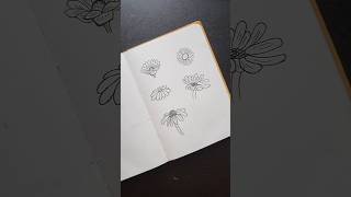 Draw a daisy flower with this simple tutorial youtubeshorts daisy drawing [upl. by Aneda]