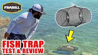 Bait Trap Test amp Review  Monster Mike [upl. by Enitram]