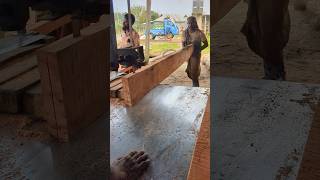 Cut the rosewood of the mahogany tree youtubeshorts sawmill shortsfeed woodworking woodcuting [upl. by Cohlier]