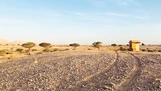 Jebel Hafeet Desert Park Camping Site Al Ain Abu Dhabi [upl. by Mickelson]